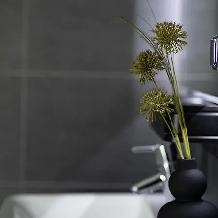 アパート Blauer Stein 7a Haus - 6 Wohnungen, 15 Schlafzimmer *